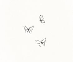 two butterflies flying in the air on a white background