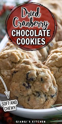 chocolate chip cookies on a plate with the words dried cranberry chocolate cookies above it