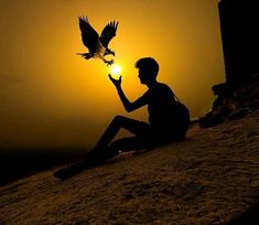 a person sitting on the ground with a bird in their hand and sun behind them