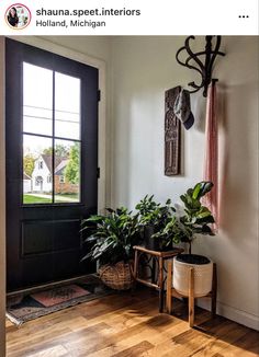 two houseplants are sitting in front of a black door on the side of a white wall