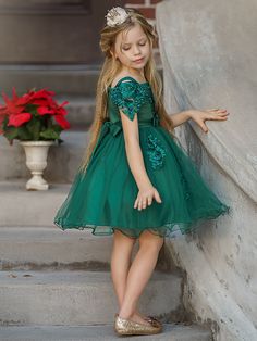 Fall Dressy, Wedding Dresses For Kids, Girls Holiday Dresses, Girls Boutique Clothing, Embroidered Bodice, Girl Needs, Dressy Dresses, Holiday Dress