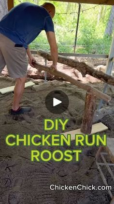 Chicken Tips, Backyard Animals, Chicken Mama, Chicken Life, John Oates, Daryl Hall, My Dreams Come True, Chicken Cages, 50k Views