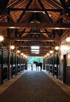 a horse is standing in the middle of an enclosed area with lights on either side