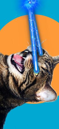 a cat with its mouth open and two blue lights on it's head