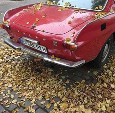 an old red car parked on the side of the road with leaves all over it