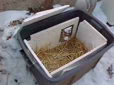 a cooler with straw inside sitting in the snow