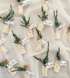 small jars filled with marshmallows and pine needles