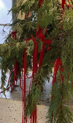 red ribbons tied to the branches of evergreen trees