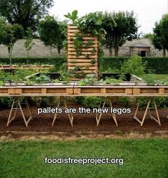 an outdoor vegetable garden with wooden tables and benches