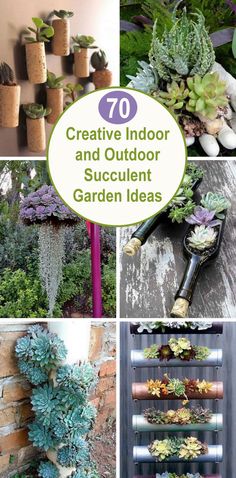 the top ten creative garden ideas to try out for your yard or patio, including succulents and plants