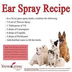 an advertisement for the young living ear spray recipe, featuring four dogs and one cat