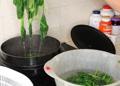 a person is sprinkling green vegetables into a pot on the stove with water