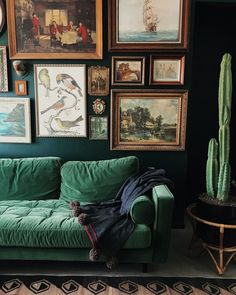 a green couch sitting in front of a wall with pictures on the walls and a cactus next to it