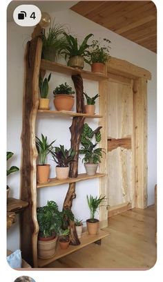 a wooden shelf filled with lots of potted plants