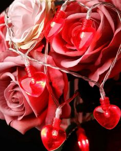 red roses with heart shaped lights hanging from them