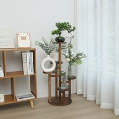 two vases with plants in them are next to bookshelves on the floor