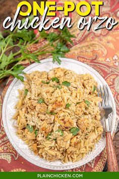 one pot chicken orzo on a white plate with a fork and garnish