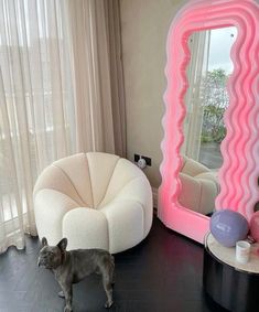 a dog is standing in front of a large mirror and chair with pink waves on it