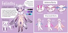 an animal character sheet with different colors and hair styles, including cat's ears