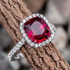 a close up of a ring on a tree branch