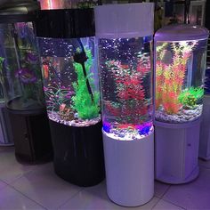 several different types of aquariums are on display in a room with tile flooring