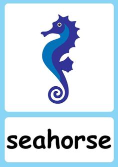 the seahorse logo is shown in blue and white