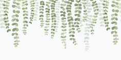 green leaves are hanging from the ceiling in front of a white background with space for text