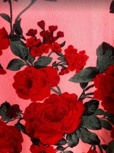 red roses on pink background with green leaves