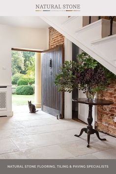 a cat sitting on the floor next to a table with flowers in front of it