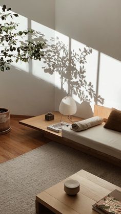 a living room with a couch, coffee table and potted plant in the corner