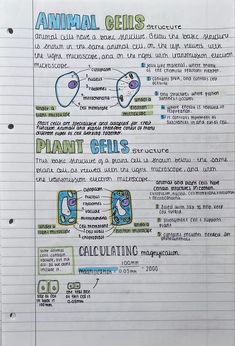 a hand drawn diagram on top of a piece of paper with information about plants and animals