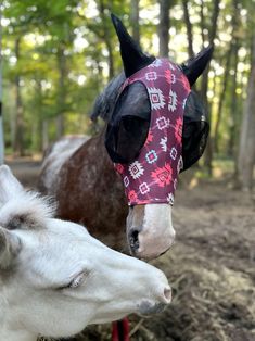 two horses wearing bandanas in the woods