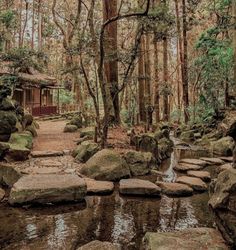 a stream running through a forest filled with rocks