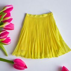 Anine Bing Lucy Skirt Pleated Chifon Yellow Skirt Color Meadowlark (Yellow) Size Small 100% Polyester Skirt Is New With Tags From Store Sample , Missing Care And Size Tag . Spring Pleated Flowy Mini Skirt, Yellow Pleated Party Bottoms, Yellow Long Pleated Summer Skirt, Yellow Long Pleated Skirt For Summer, Yellow Pleated Skirt For Party, Yellow Flowy Pleated Midi Skirt, Chic Yellow Pleated Bottoms, Yellow Midi Skirt For Summer, Yellow Midi Skirt For Party