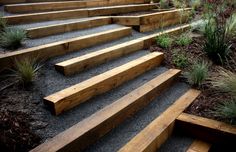 wooden steps leading up to the top of some plants and shrubs in a garden area