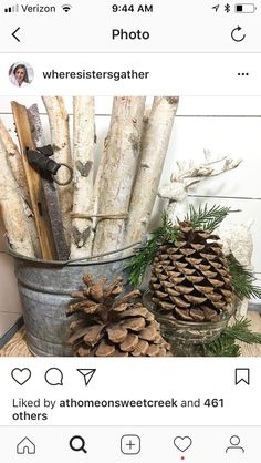 a bucket full of pine cones sitting on top of a table