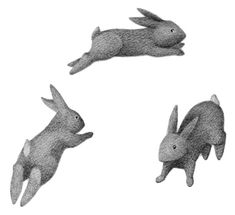 three rabbits are flying in the air