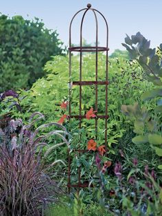 a garden filled with lots of different types of plants