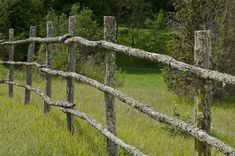 a wooden fence with moss growing on it in a grassy field next to some trees