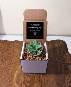 a plant in a box sitting on top of a wooden table next to a card board