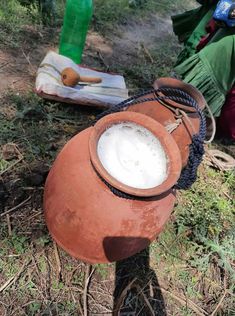 a clay pot sitting on top of a tree stump