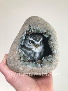 a hand holding a rock with an owl in it's hole on the side