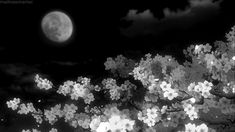 black and white photograph of tree with full moon in background