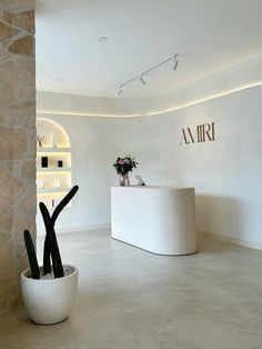 a white reception area with a plant in the center