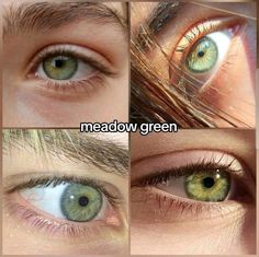 Eye Colors Green, Different Types Of Green Eyes, Jade Eyes Color, Green Gold Eyes, Vibrant Green Eyes, Green Eyes Color Palette, Meadow Green Eyes, Eye Color Names, Types Of Green Eyes