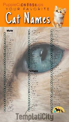 a cat's eye is shown with the names of its cats