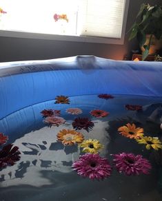 an inflatable pool with flowers floating on the water and sun shining through the window