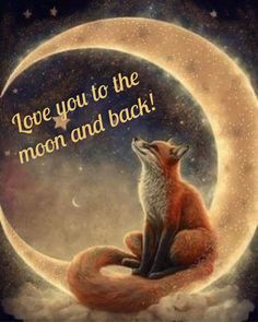 a fox sitting on top of a moon with the words love you to the moon and back