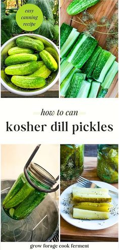 how to can kosher dill pickles