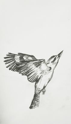 a drawing of a bird flying in the sky